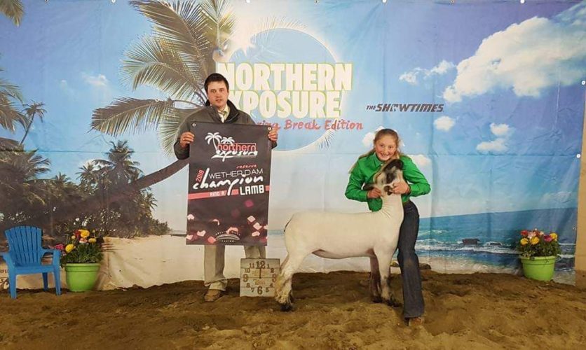 2021 Santa Barbara County Fair uncertain, but virtual livestock auction
